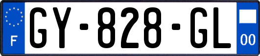 GY-828-GL