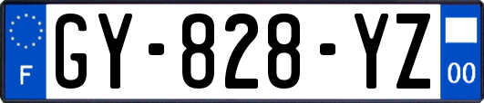 GY-828-YZ