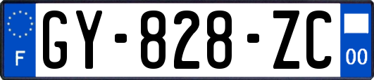 GY-828-ZC