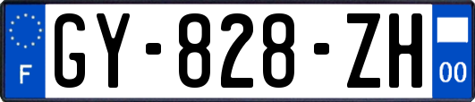 GY-828-ZH