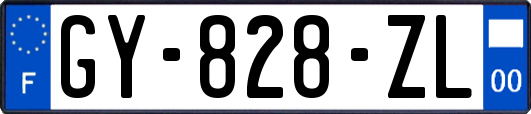 GY-828-ZL