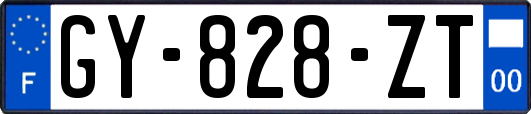 GY-828-ZT