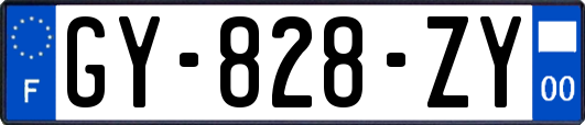 GY-828-ZY