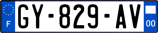 GY-829-AV