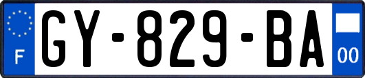 GY-829-BA