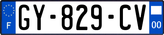 GY-829-CV