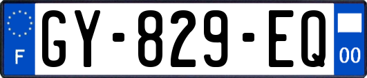 GY-829-EQ