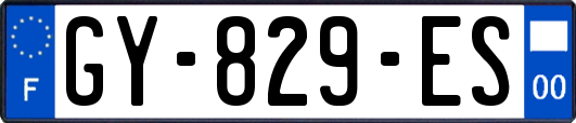 GY-829-ES