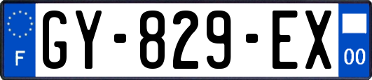 GY-829-EX