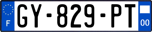 GY-829-PT
