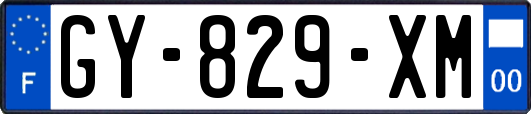 GY-829-XM
