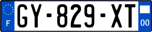 GY-829-XT