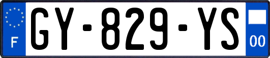 GY-829-YS