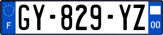 GY-829-YZ