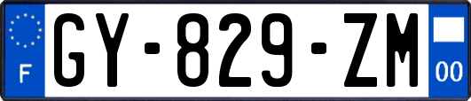 GY-829-ZM