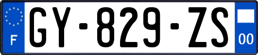 GY-829-ZS