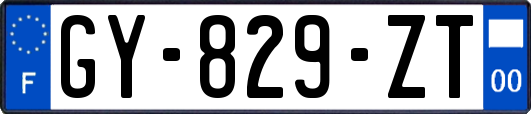 GY-829-ZT