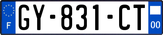 GY-831-CT