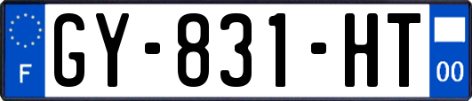 GY-831-HT