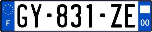 GY-831-ZE