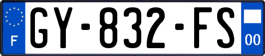 GY-832-FS