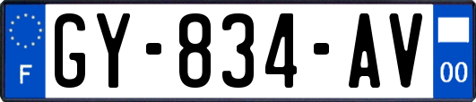 GY-834-AV