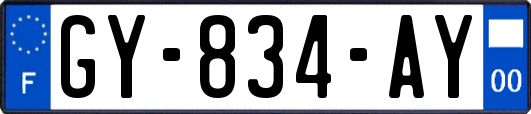 GY-834-AY