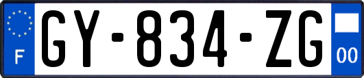 GY-834-ZG