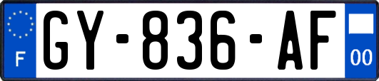 GY-836-AF