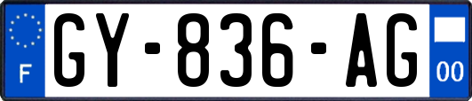 GY-836-AG