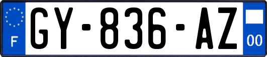 GY-836-AZ