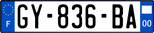 GY-836-BA