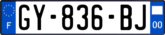 GY-836-BJ