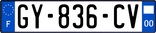 GY-836-CV