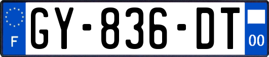 GY-836-DT