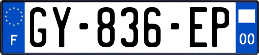 GY-836-EP