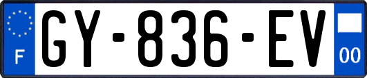 GY-836-EV