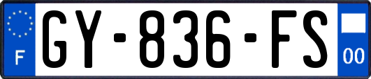 GY-836-FS