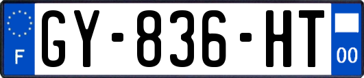 GY-836-HT