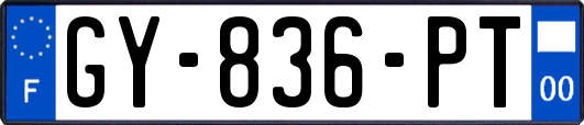 GY-836-PT