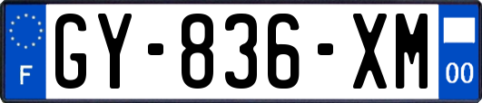 GY-836-XM