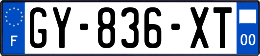 GY-836-XT
