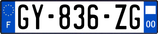GY-836-ZG