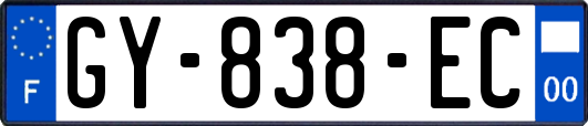 GY-838-EC