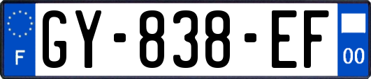 GY-838-EF