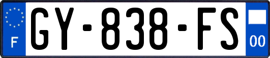GY-838-FS