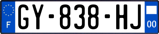 GY-838-HJ