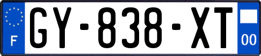 GY-838-XT
