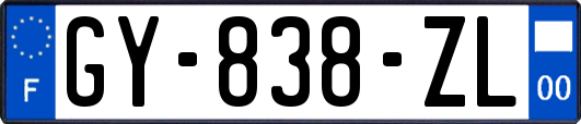 GY-838-ZL
