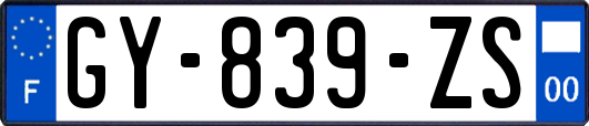 GY-839-ZS